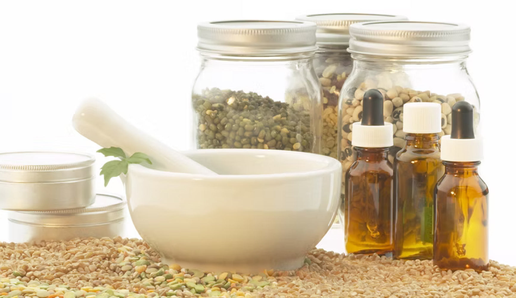 Marshmallow Root and Slippery Elm: Herbs for Hair Growth
